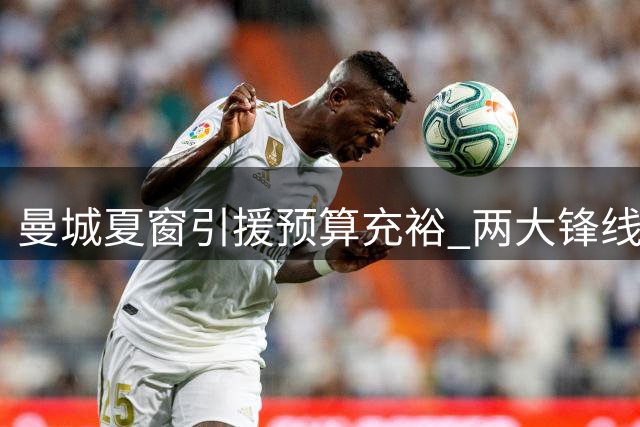曼城夏窗引援预算充裕 两大锋线替补引发热刺兴趣